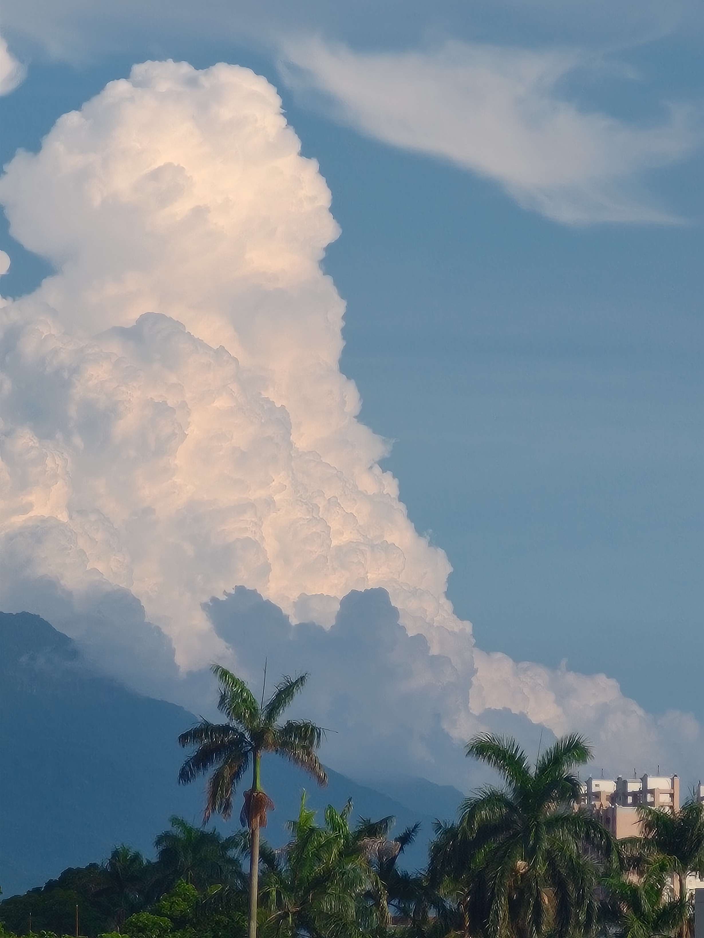 午後積雲